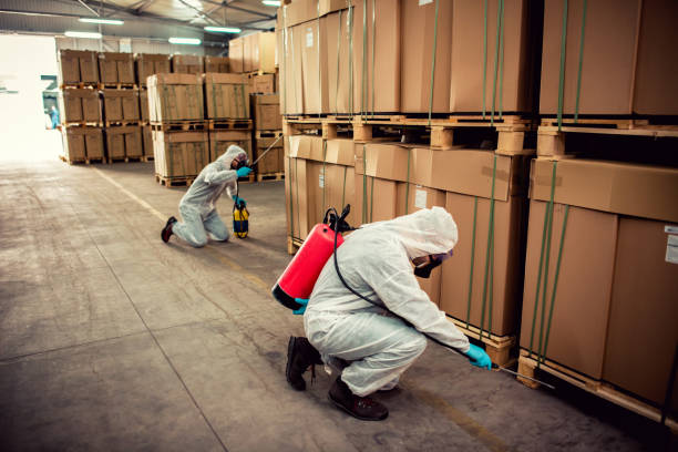 Best Pest Prevention Services  in Gallipolis, OH