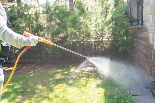Best Pest Prevention Services  in Gallipolis, OH