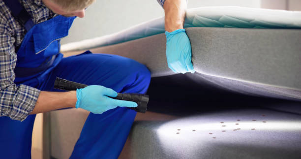 Pest Prevention Services in Gallipolis, OH