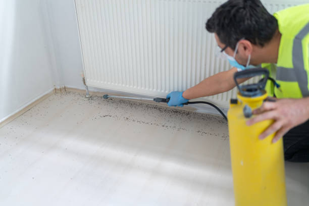 Best Best Pest Control Companies  in Gallipolis, OH